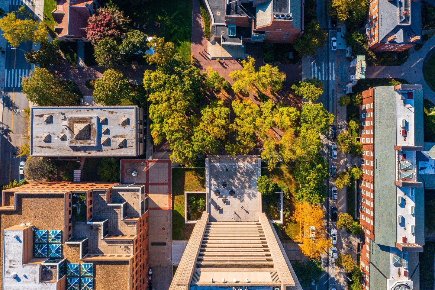 Aerial view of Brown University campus looking down on trees and buildings.